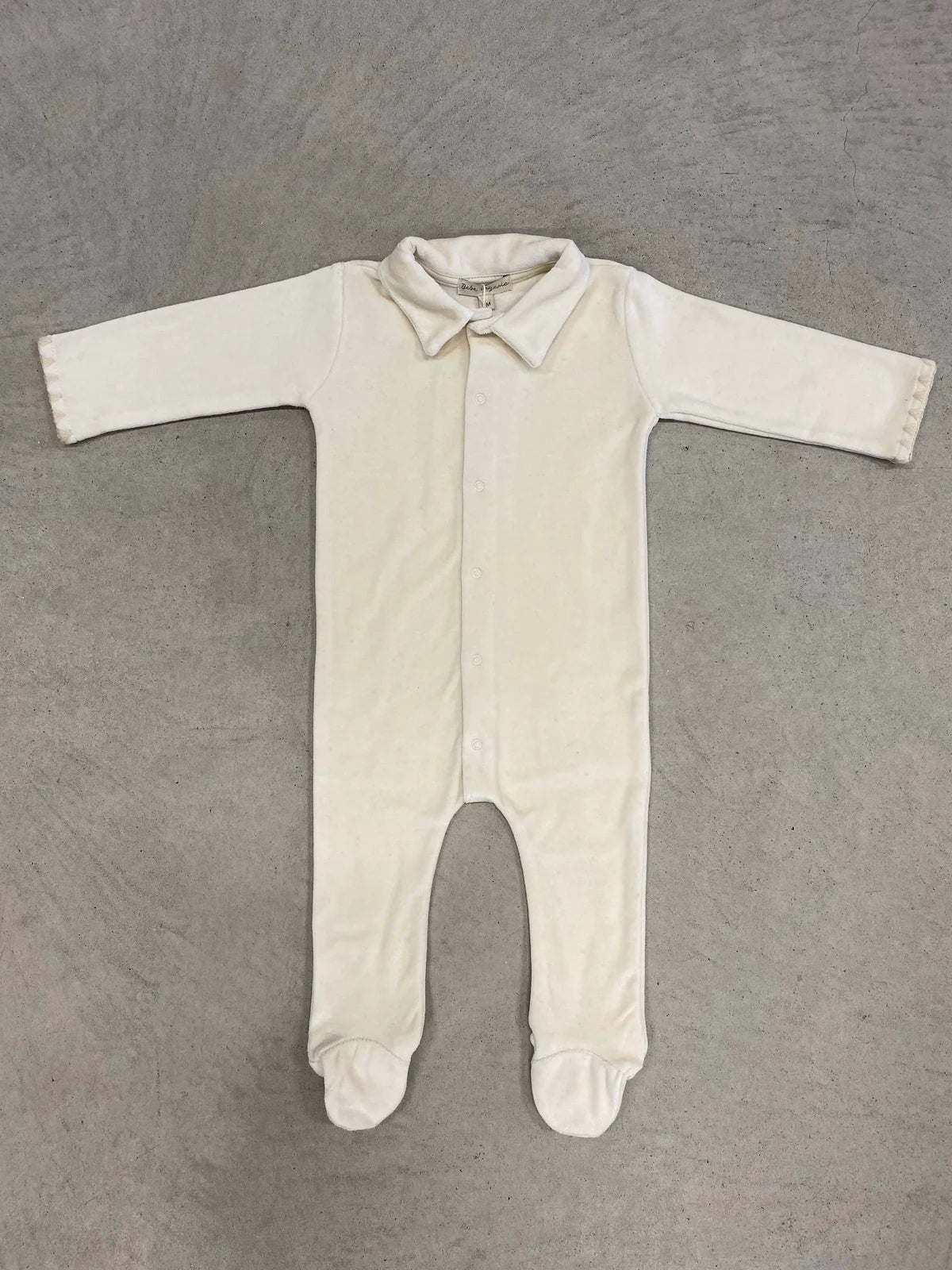 Sage overall