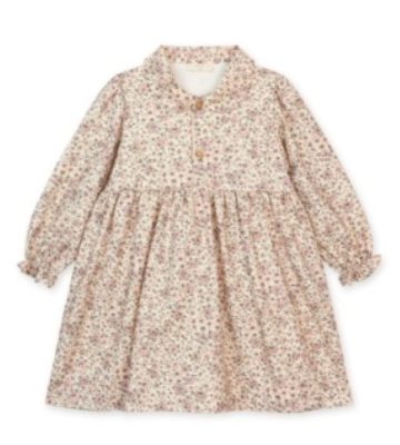 Fairy Dress