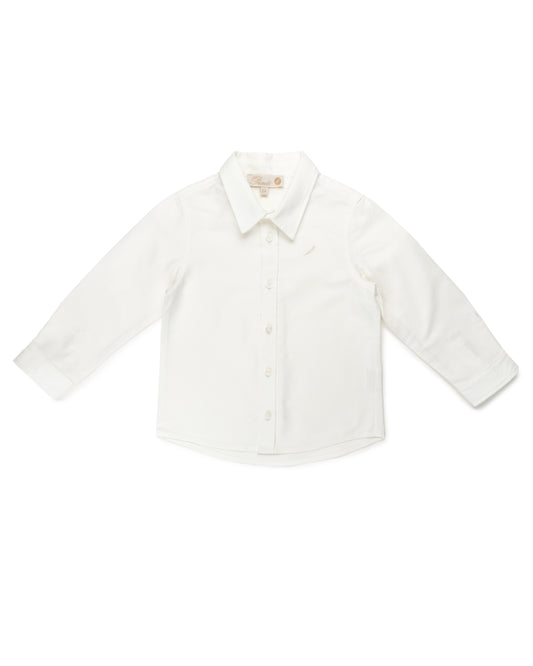 Basic L/S button down
