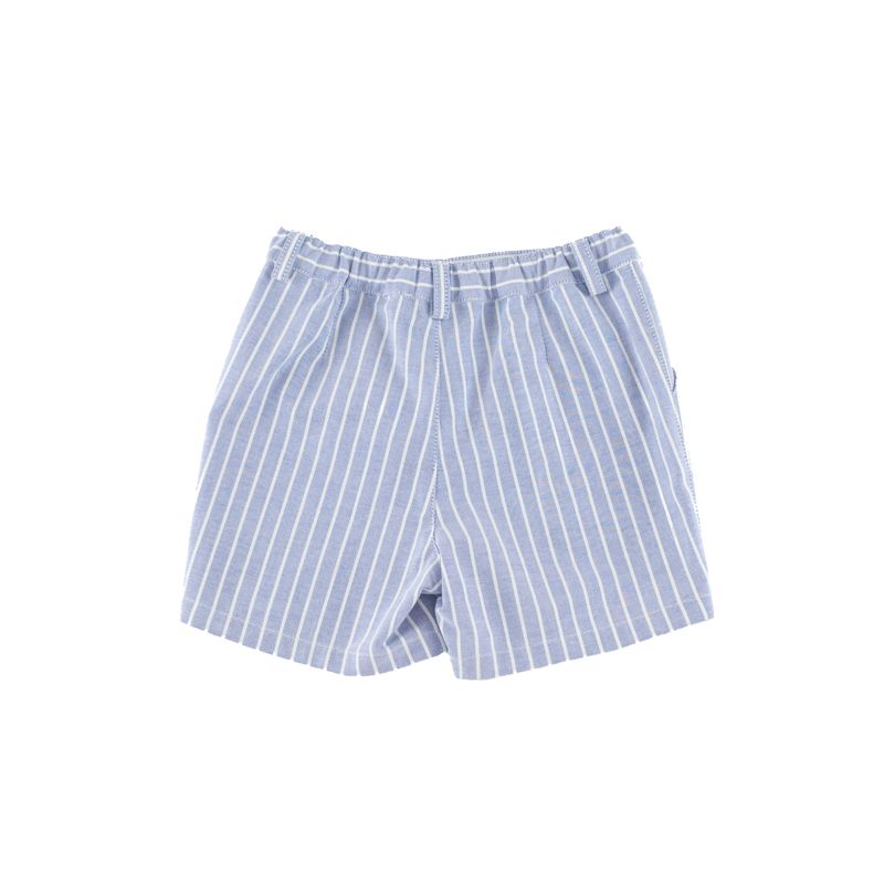 Blue striped shorts